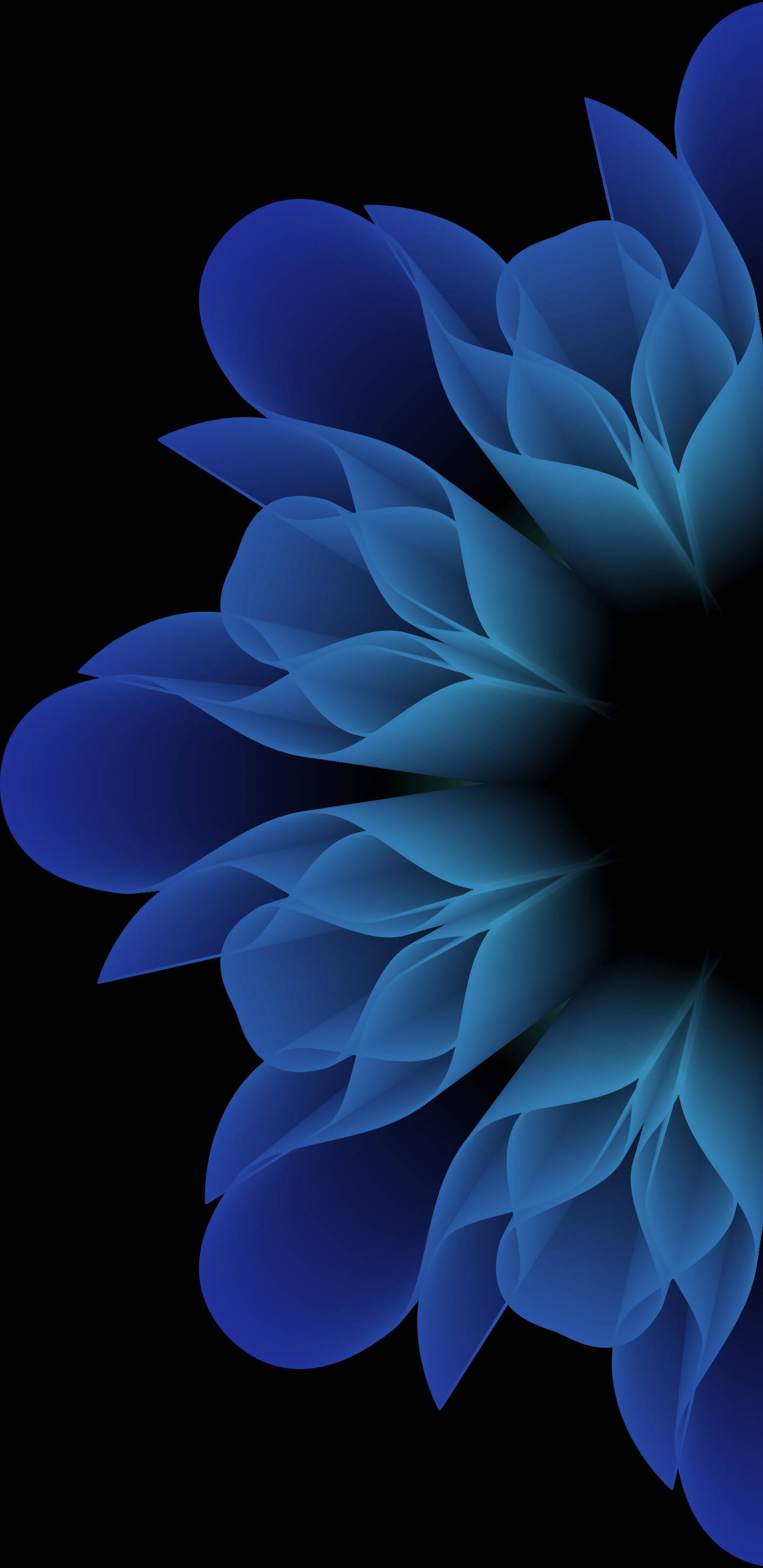زهرة سامسونج نوت 20 خلفية