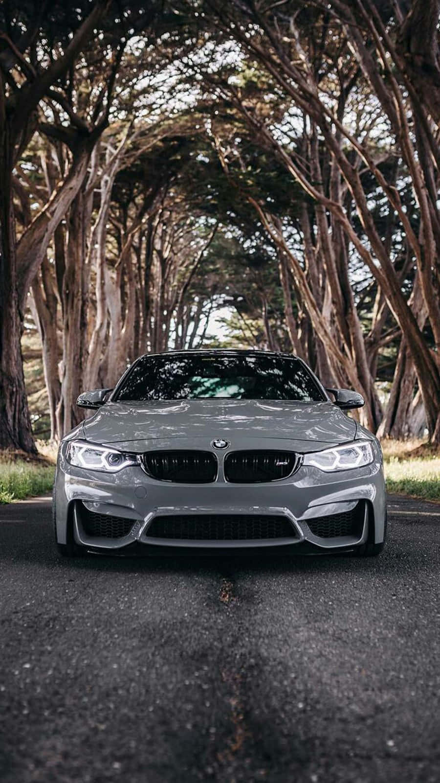 خلفية بيكسل 3 لسيارة BMW M4 باللون الفضي المعدني II خلفية
