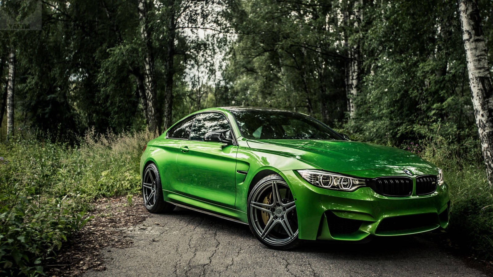 سيارة BMW M4 الخضراء العظيمة تجوب الغابة خلفية