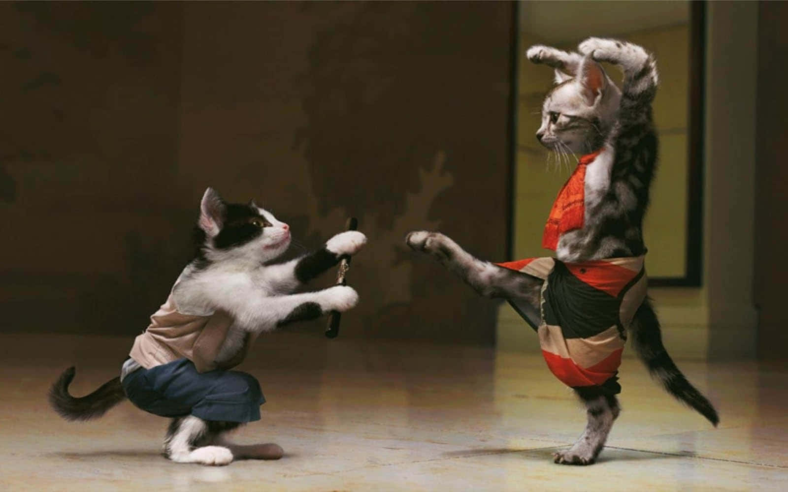 Dancing_Cats_in_Costumes.JPG خلفية