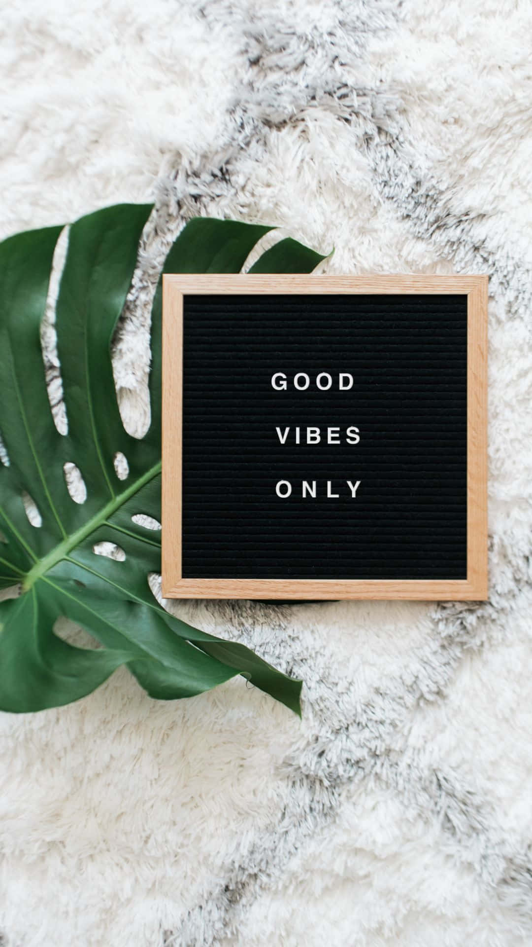 ورقة مونستيرا Good Vibes آيفون خلفية