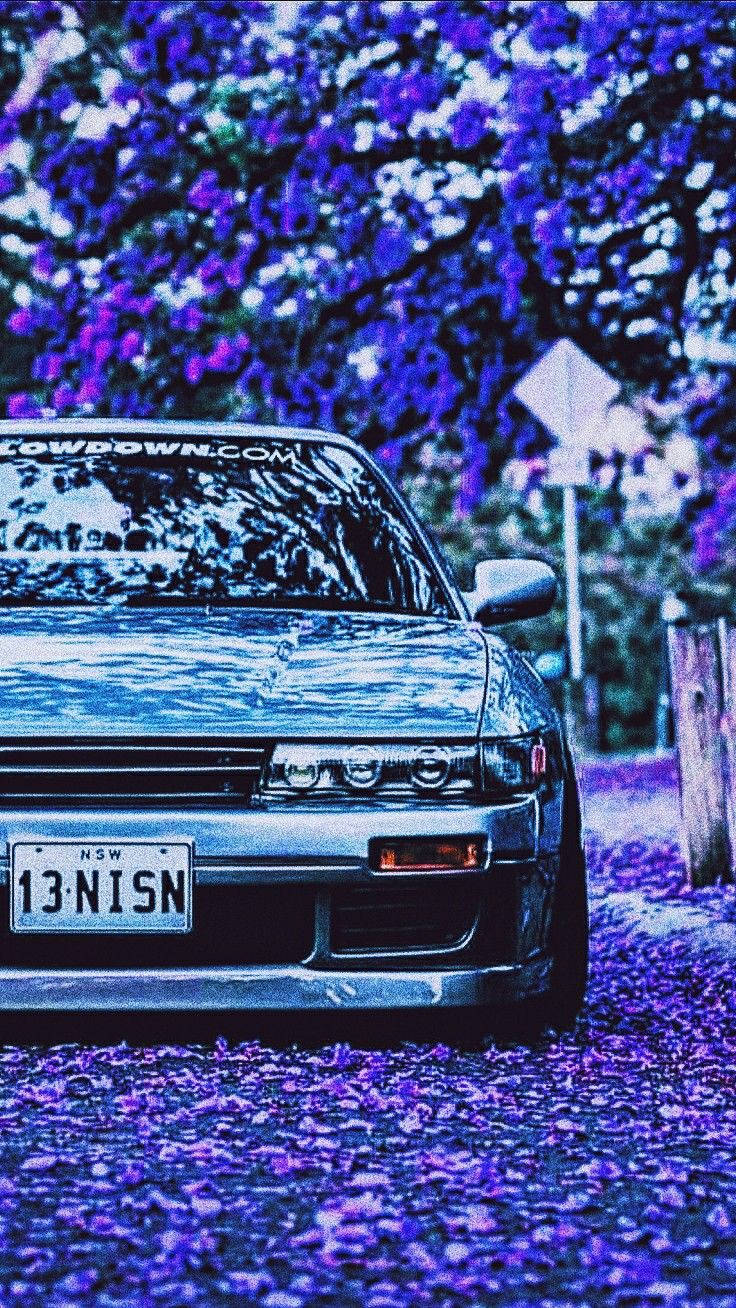 جمالية JDM مع أزهار الساكورا خلفية