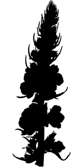 تصميم زهري بخلفية سوداء.JPG خلفية