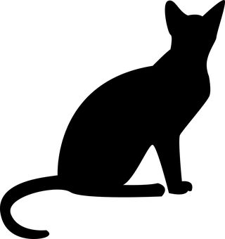 شاشة سوداء احتياطية.JPG خلفية
