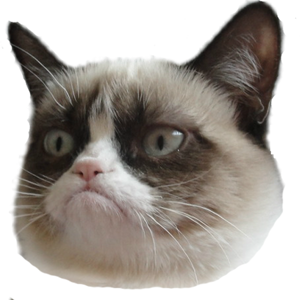 رأس القطة الغاضبة بخلفية شفافة.PNG خلفية