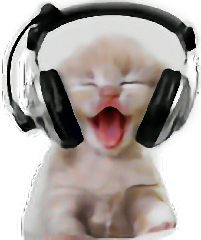 قطة تضحك مع سماعات رأس.PNG خلفية