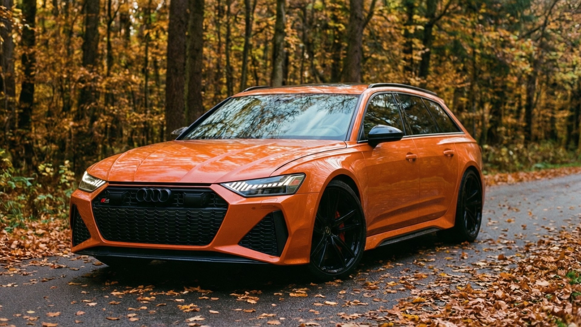 RS6 الخريف خلفية