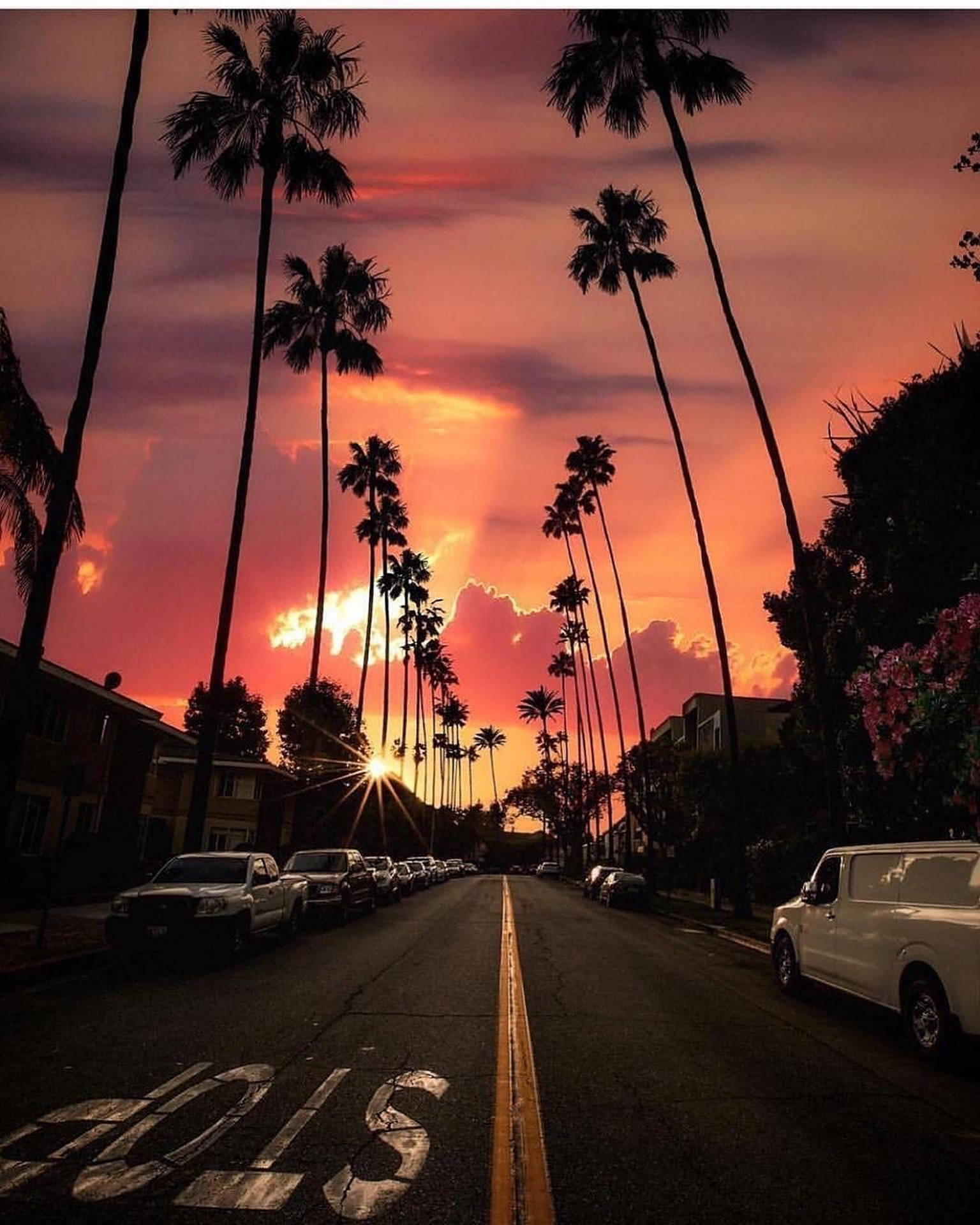 غروب الشمس في شارع Sunset Boulevard بسماء برتقالية زاهية خلفية