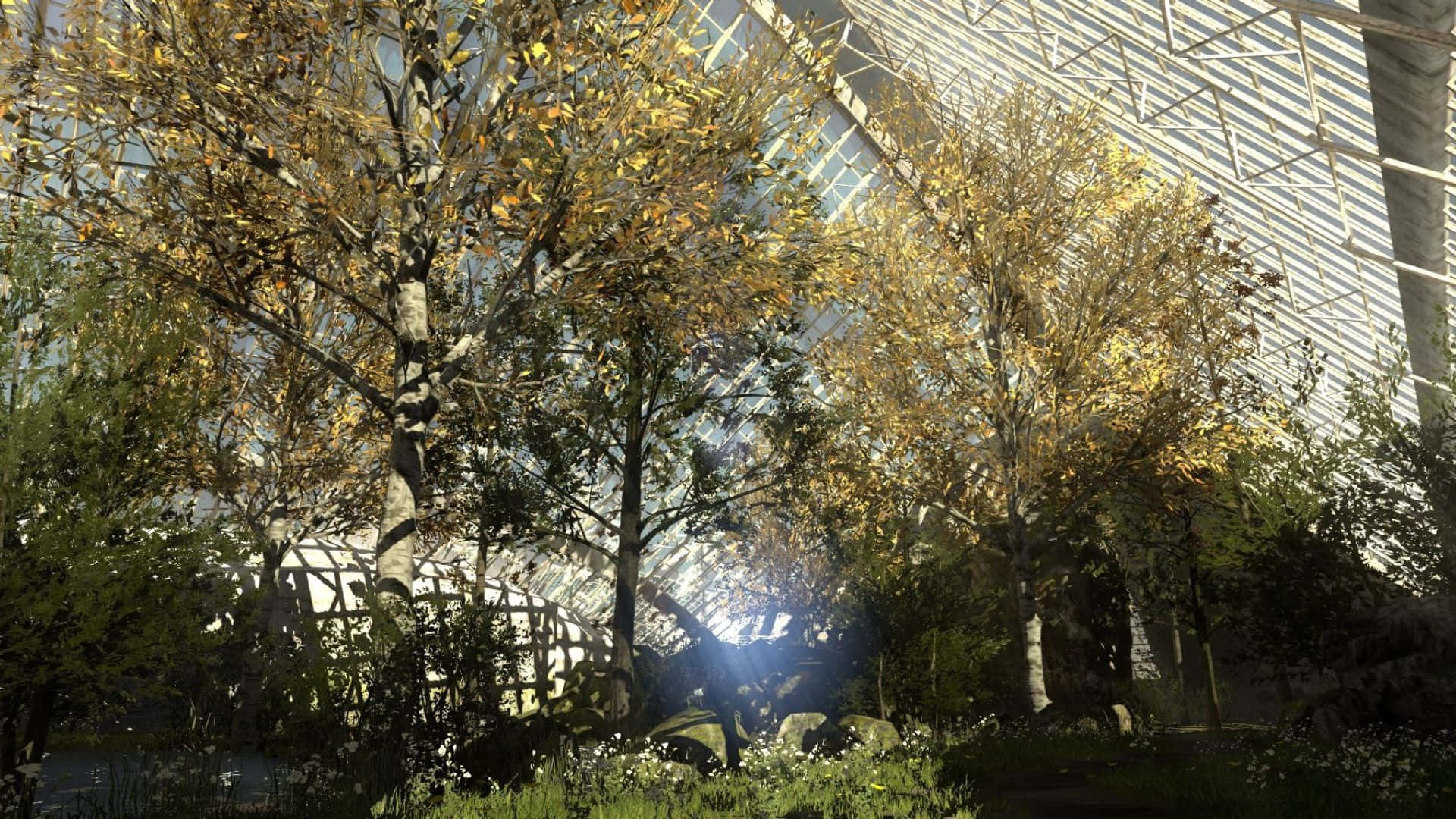 خلفية غابة خضراء من لعبة The Talos Principle بدقة 1920x1080 خلفية