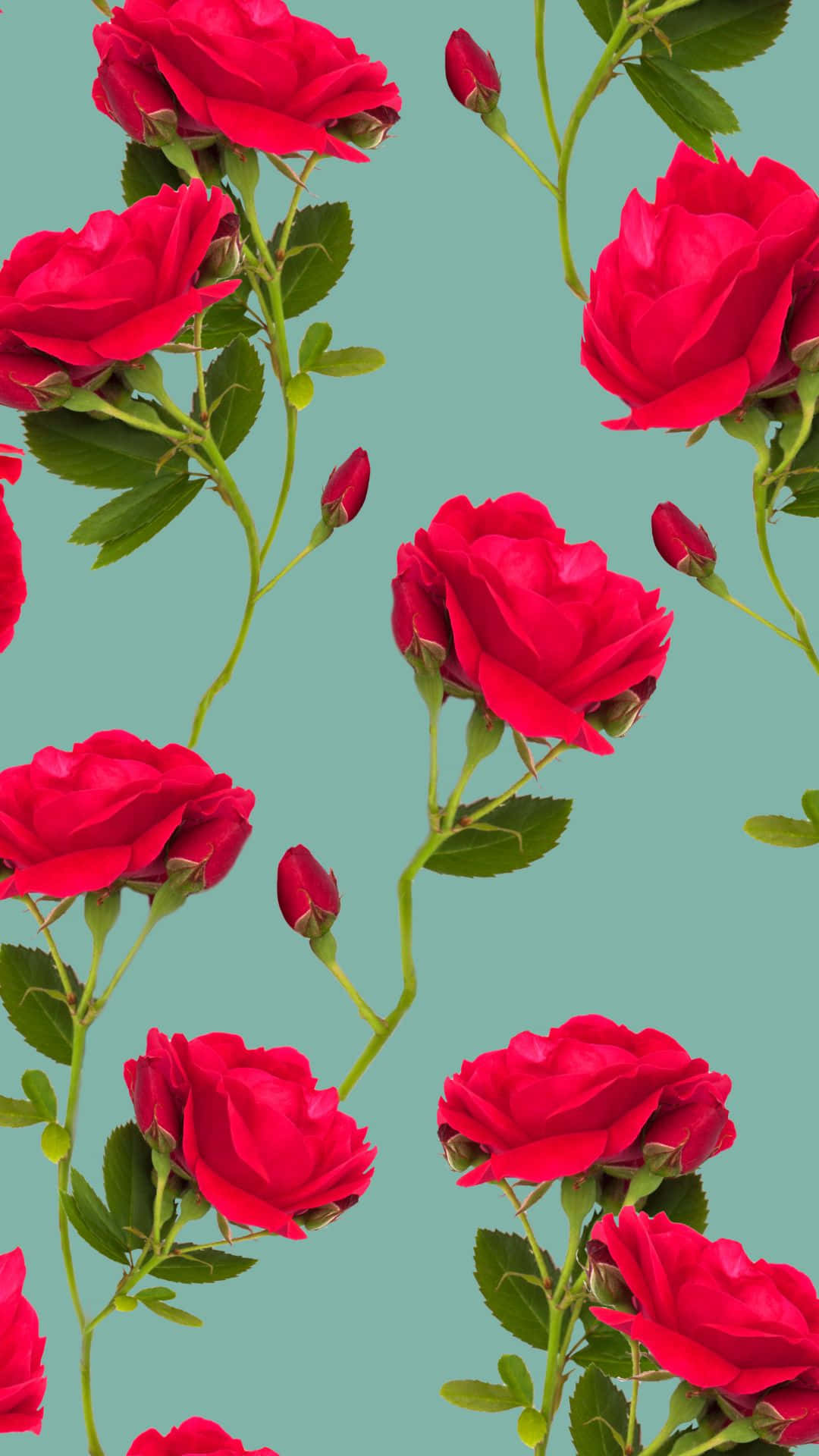 خلفية زهور حمراء جمالية بنمط VSCO خلفية
