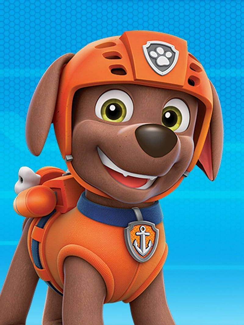 فيلم فرقة الجراء Zuma خلفية