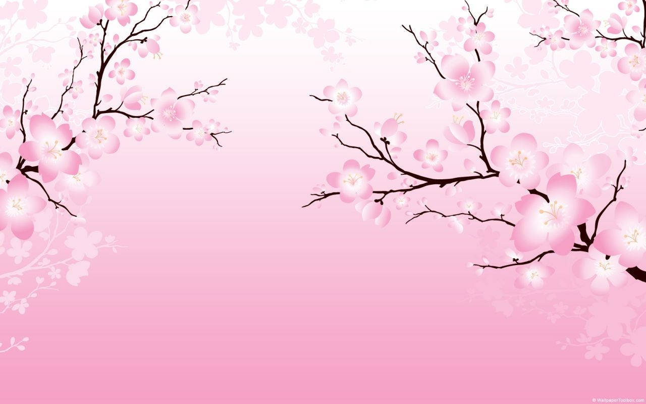 خلفية أزهار كرز ثنائية الأبعاد