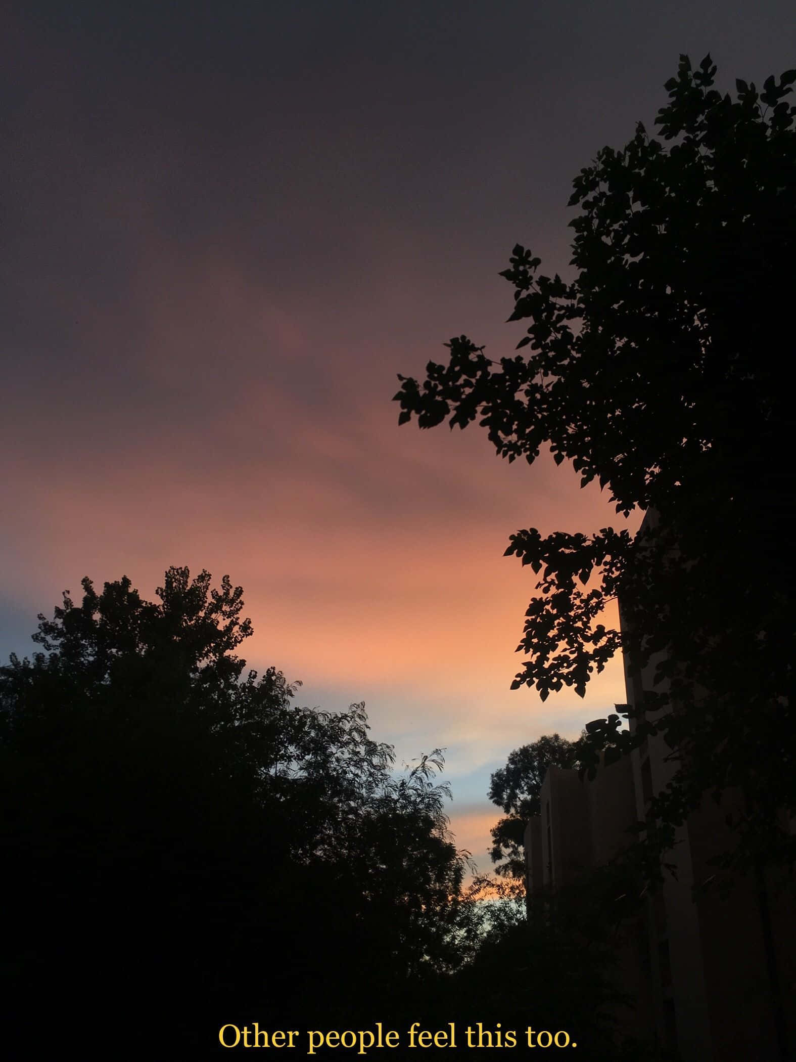 احتضان الماضي من خلال مرشح الجرونج القديم خلفية