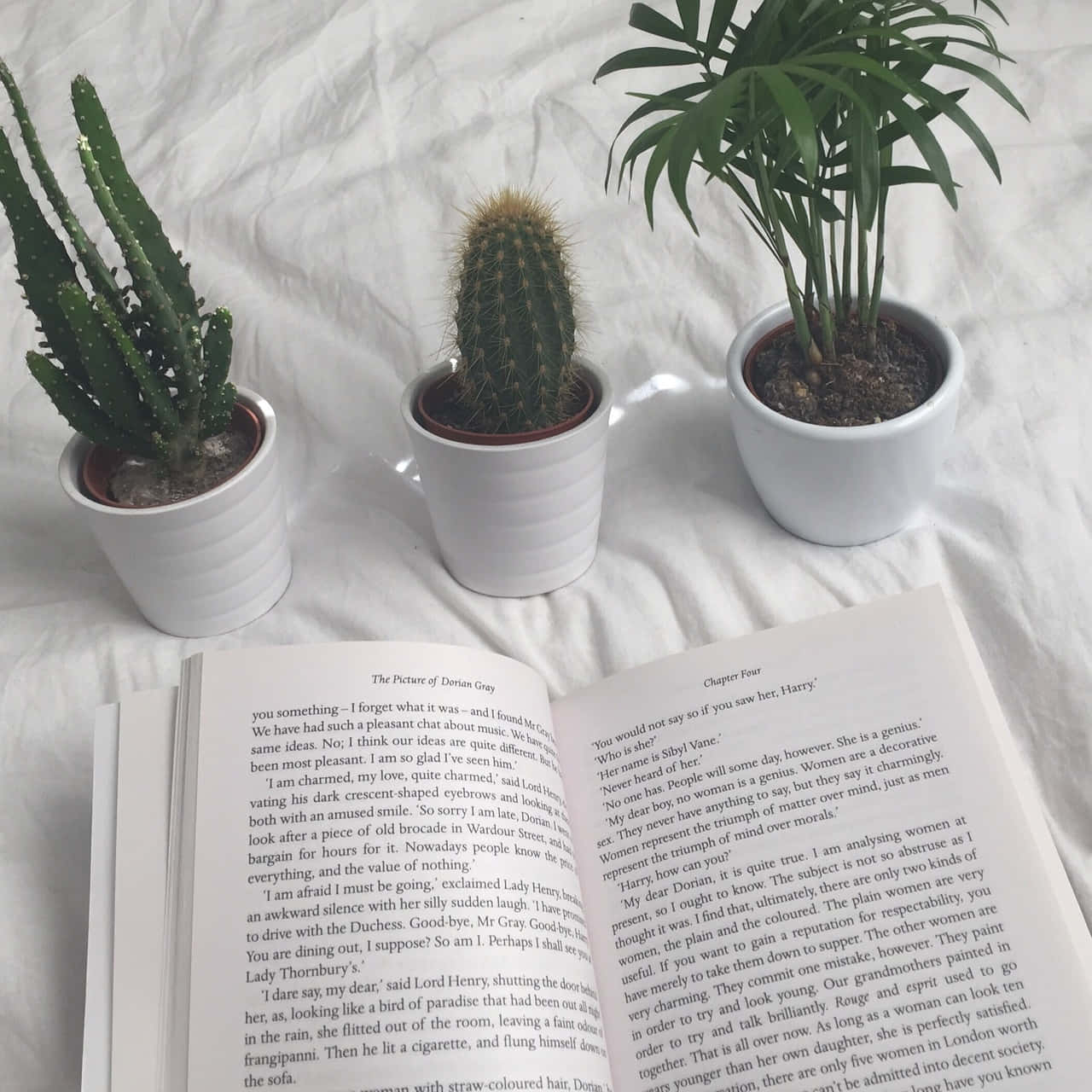 "استكشف عالم الكتب! 📖" خلفية