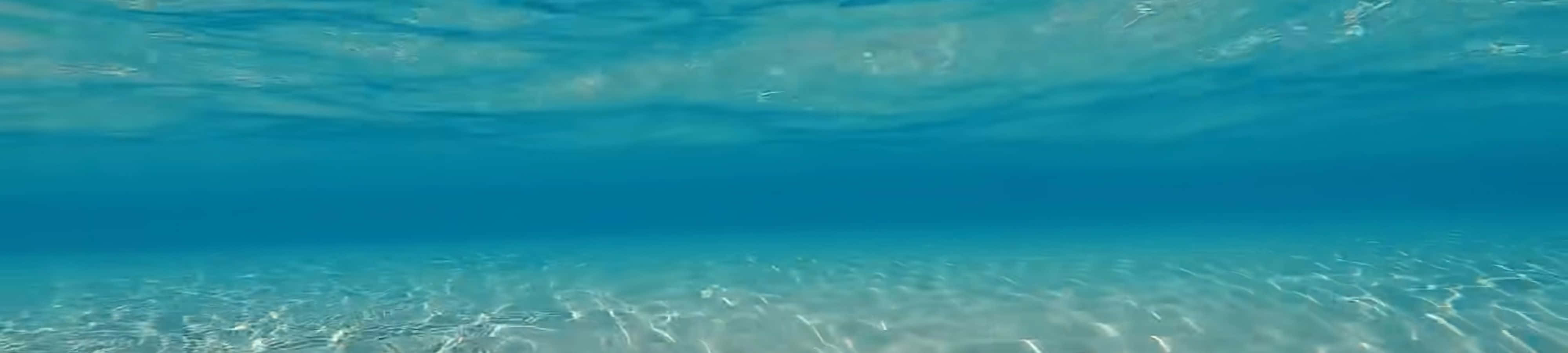 استكشف وتعجب بجمال الطبيعة الخلاب خلفية