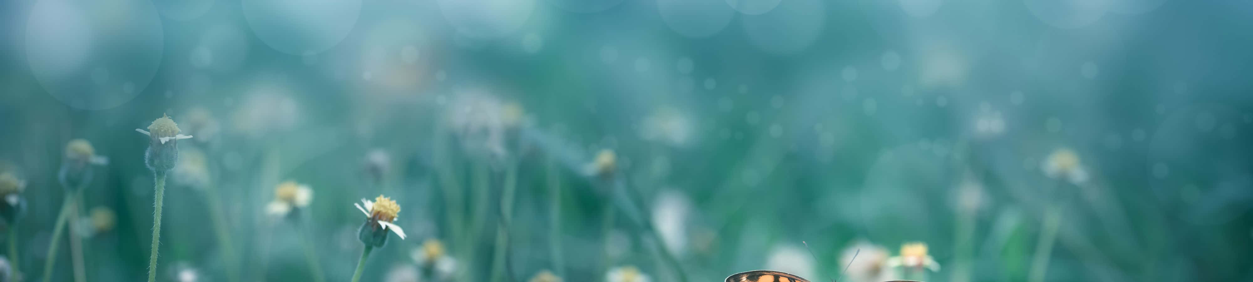 استلهم من الطبيعة خلفية
