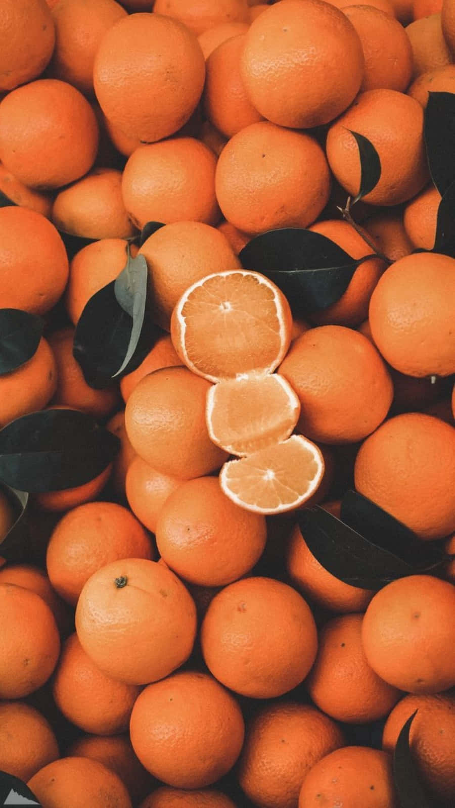 الجمال الطبيعي يتجلى بألوان متعددة، منها البرتقالي 🍊 خلفية