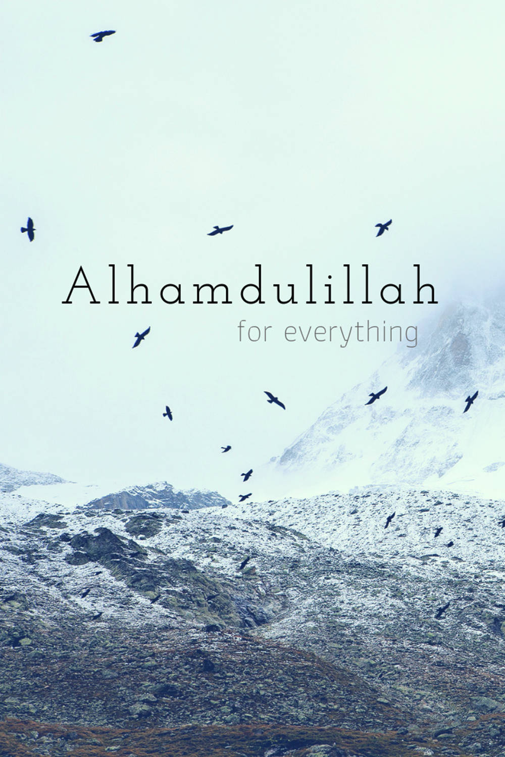 الحمد لله طيور وجبال خلفية
