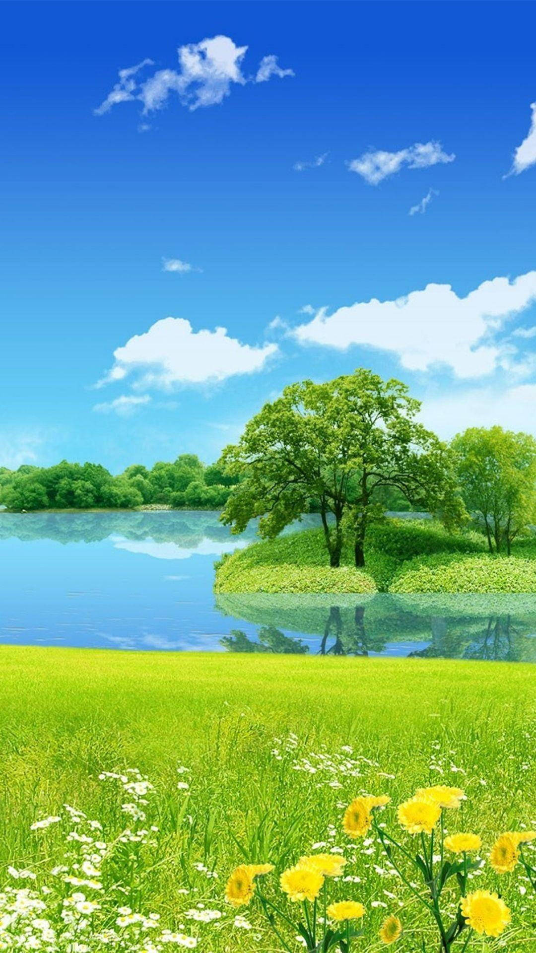بركة وجزيرة طبيعة خلفية