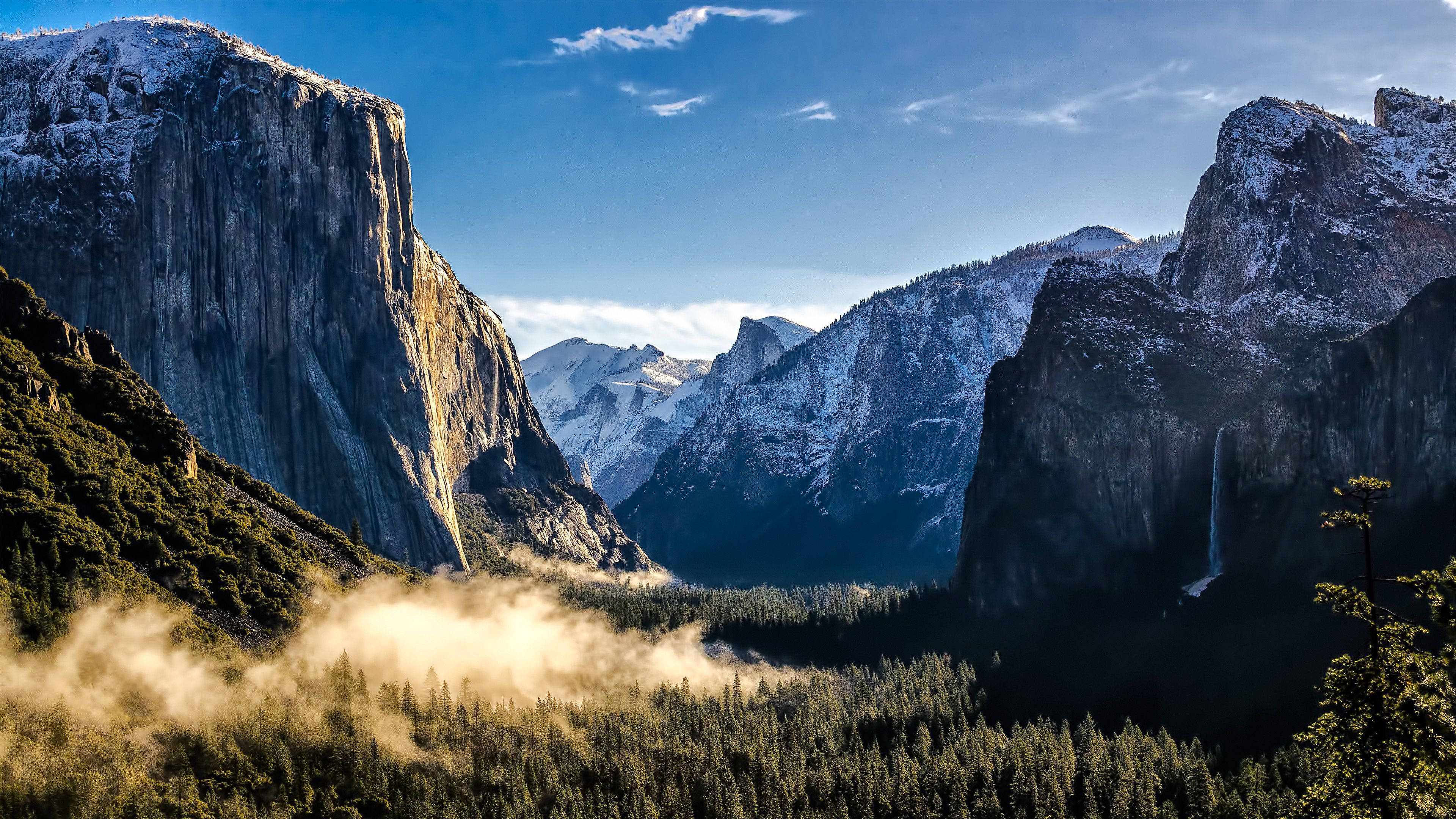 تلفاز 4K ضباب الجبل والغابة خلفية