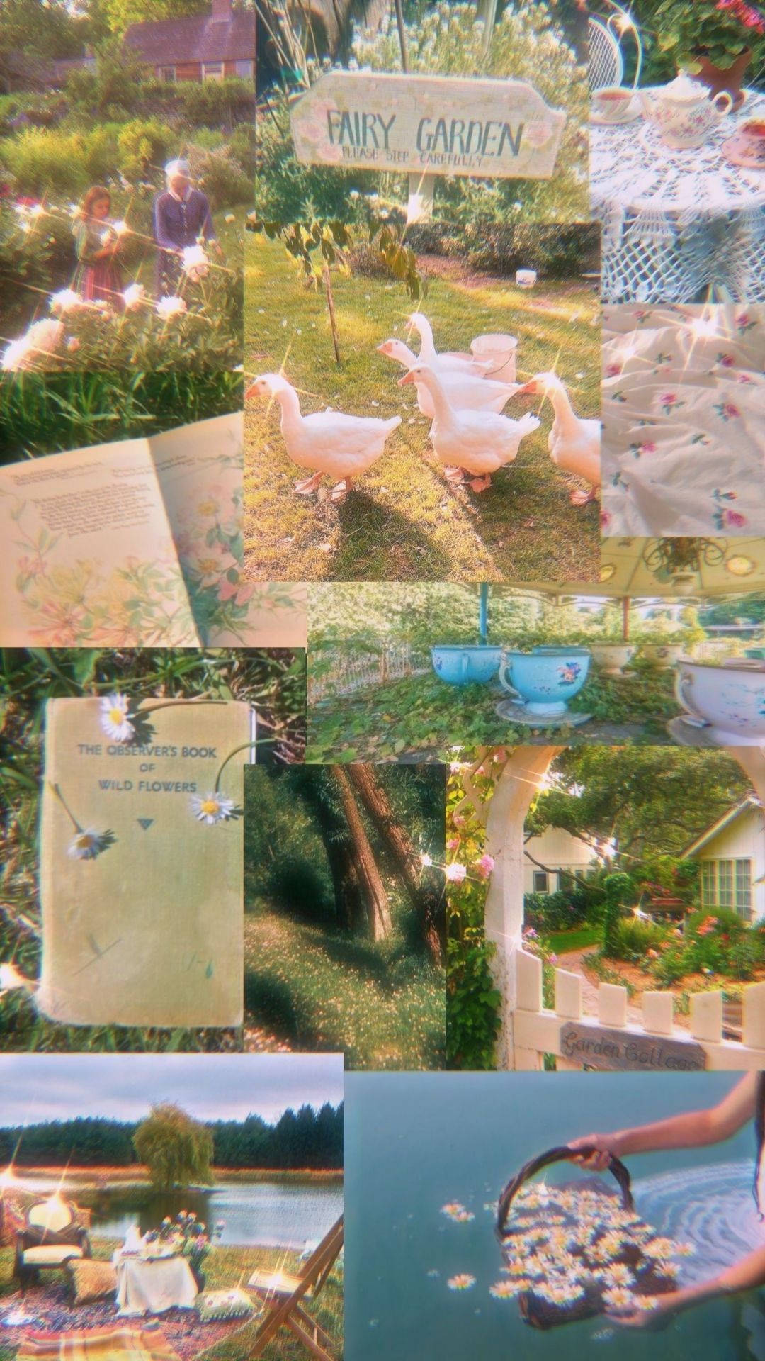 جمالية الجنية المتألقة خلفية