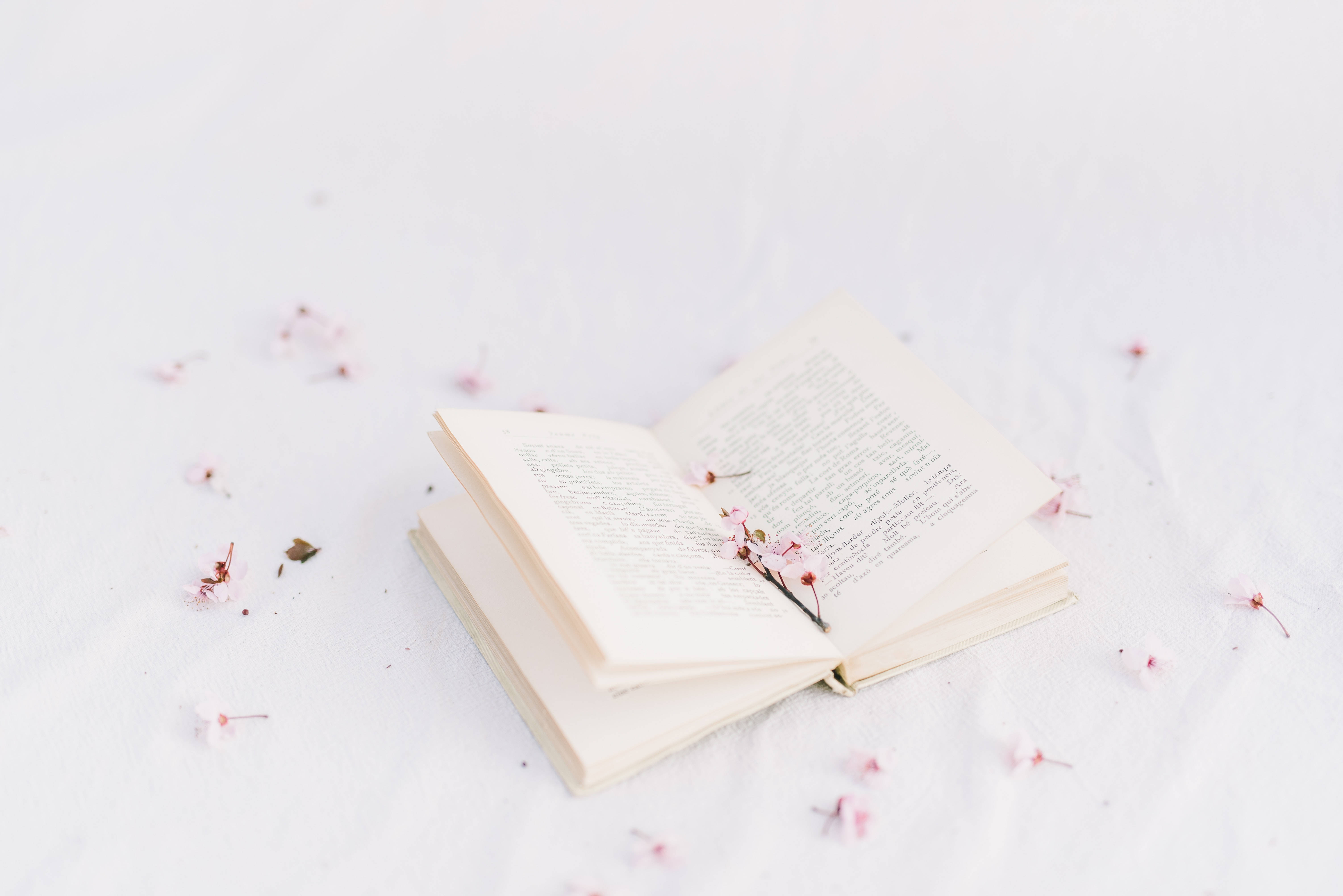 جمالية بربي لكتاب وزهور خلفية