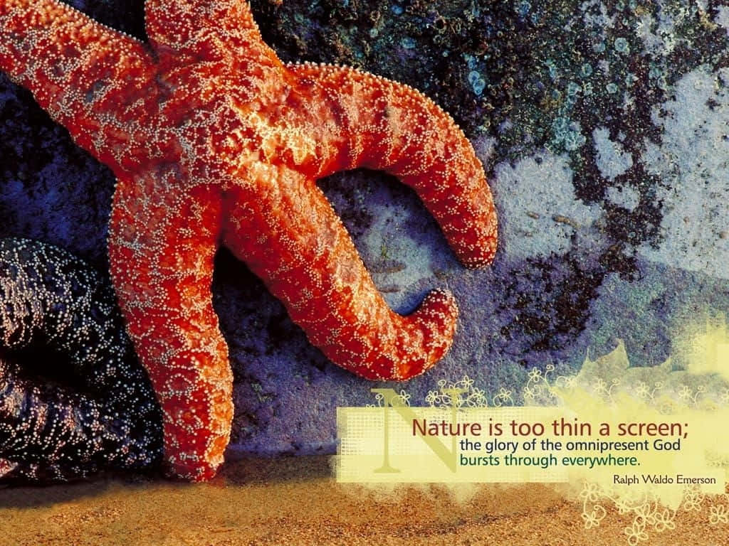 حاسوب كروس كاردز بتصميم عصري خلفية