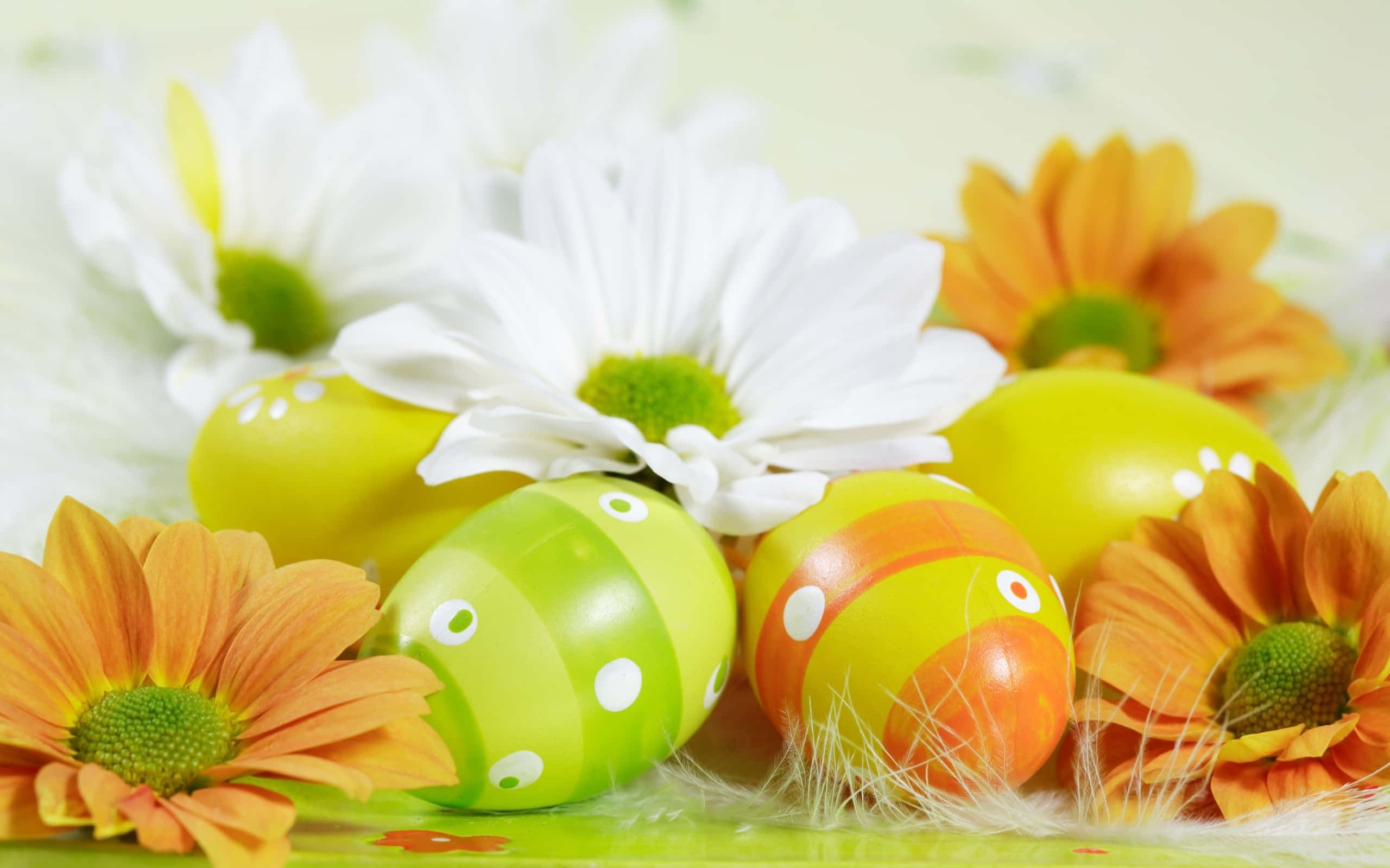خلفية بيض عيد الفصح الأخضر والبرتقالي خلفية