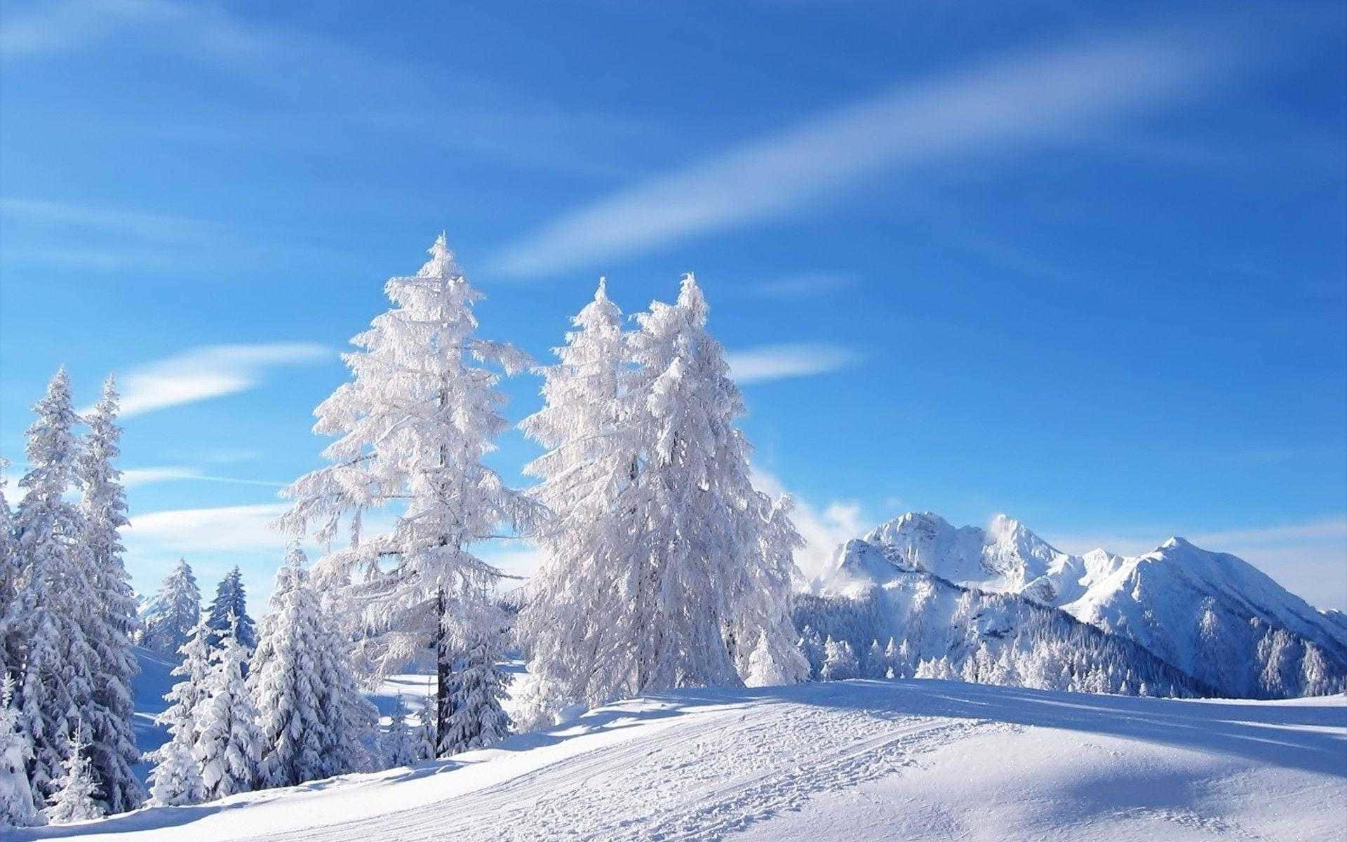 خلفية جبل مغطى بالثلوج في أرض العجائب الشتوية خلفية