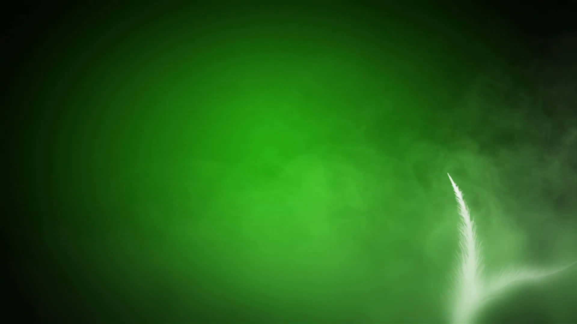 خلفية خضراء داكنة عميقة وغنية. خلفية