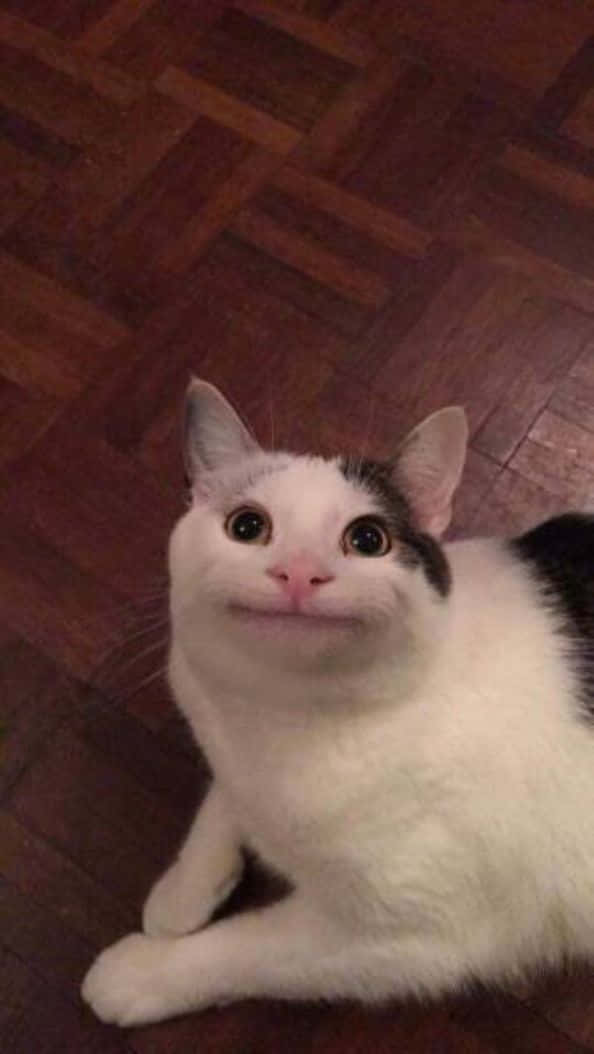 دع حسك الفكاهي يبتسم على وجهك! خلفية