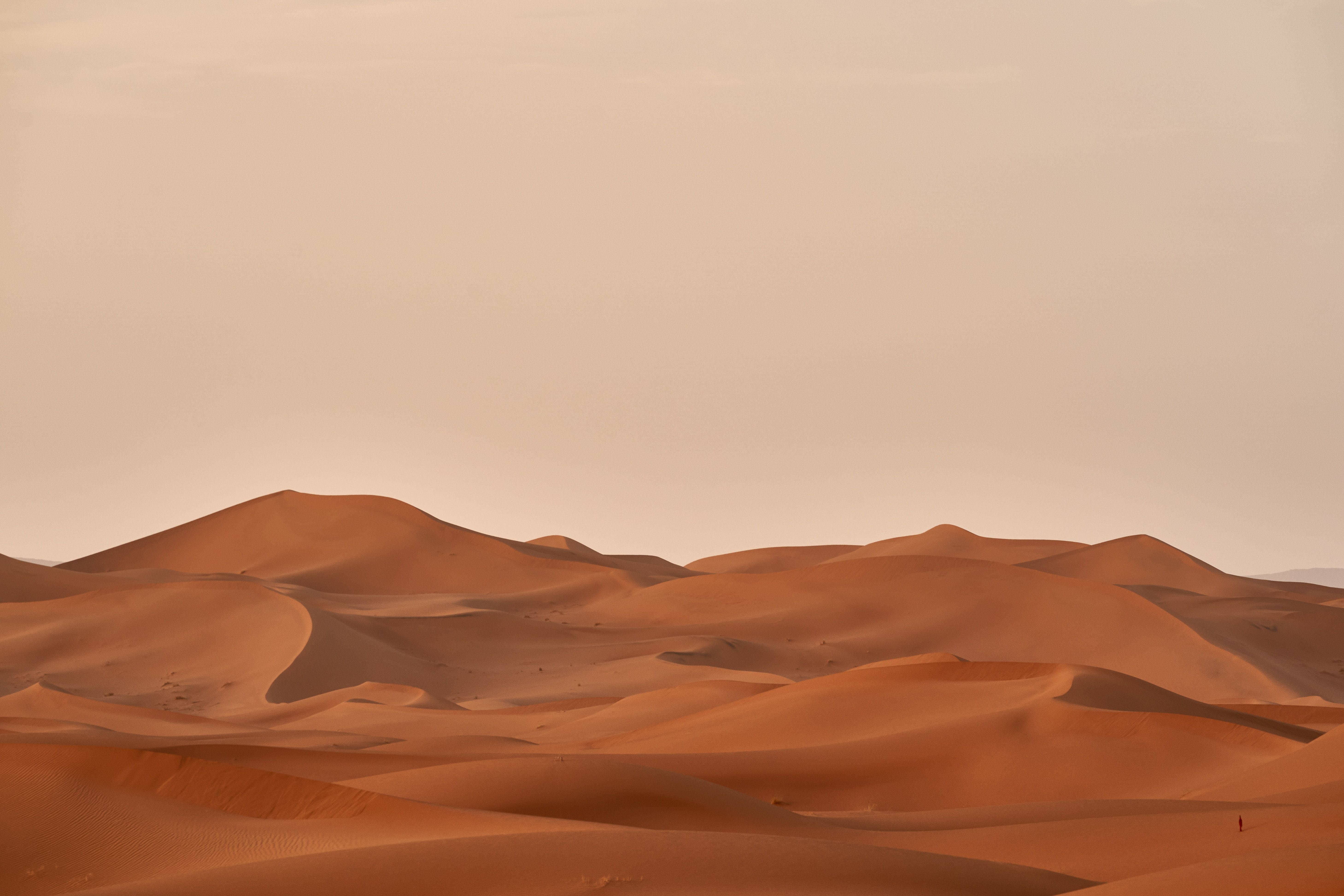 سطح مكتب جمالي بيج صحراوي خلفية