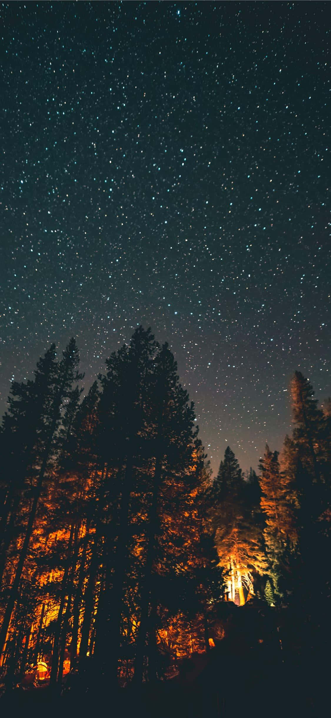 سماء ليلية مليئة بالنجوم فوق غابة خلفية