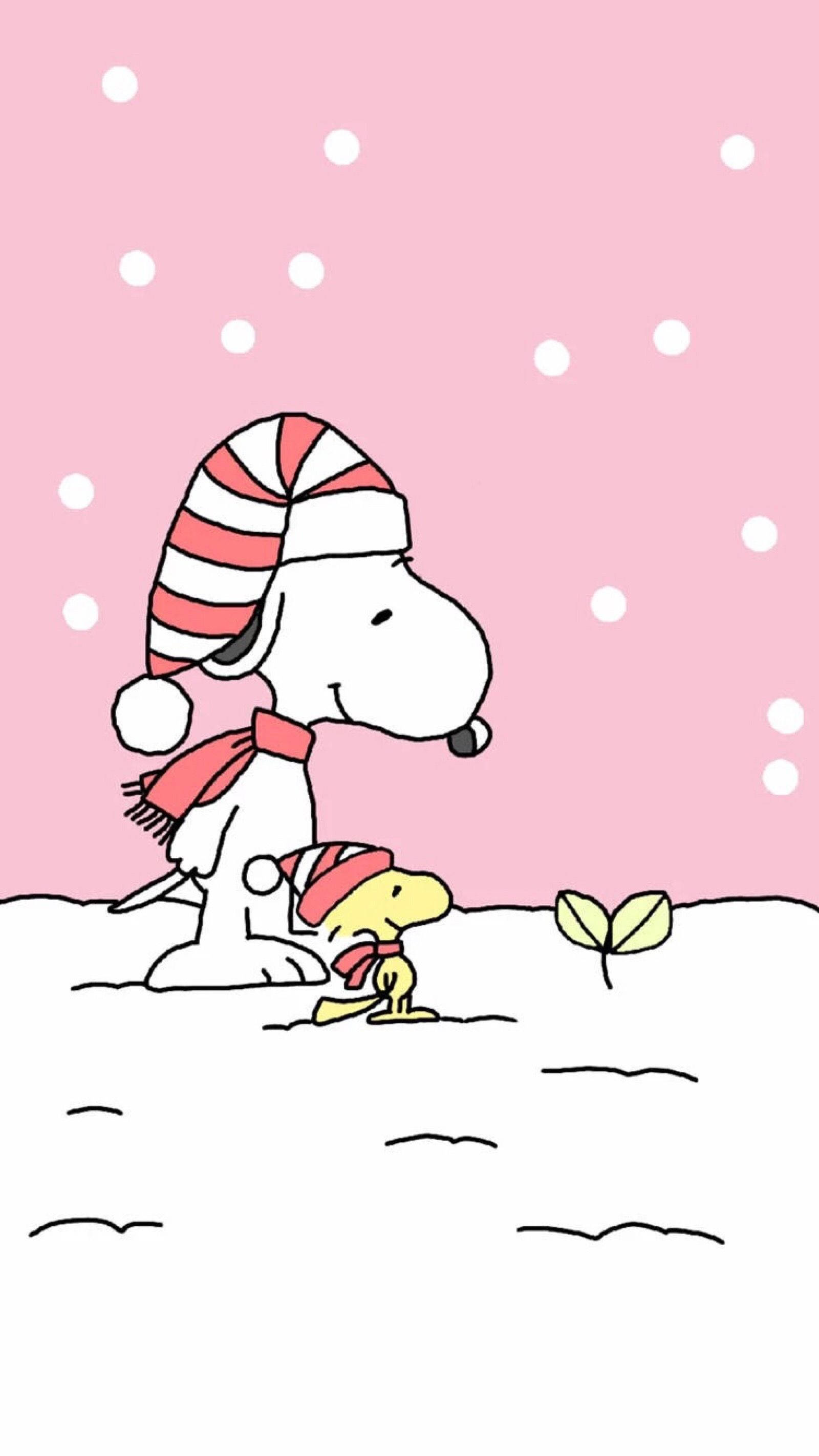 سنوبي ونبات عيد الميلاد خلفية