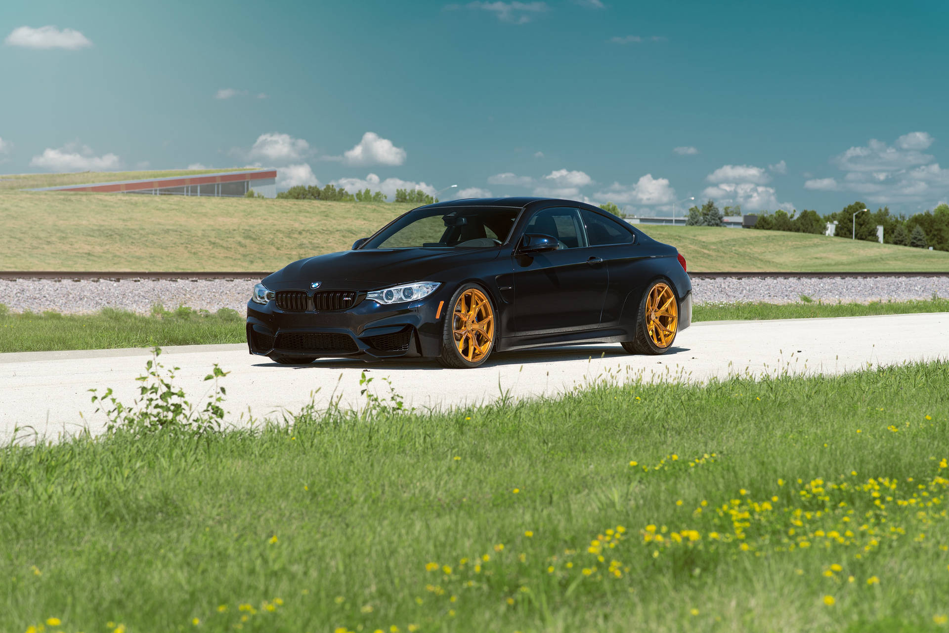 خلفية سيارة BMW M4 F82 سوداء على طريق مع العشب
