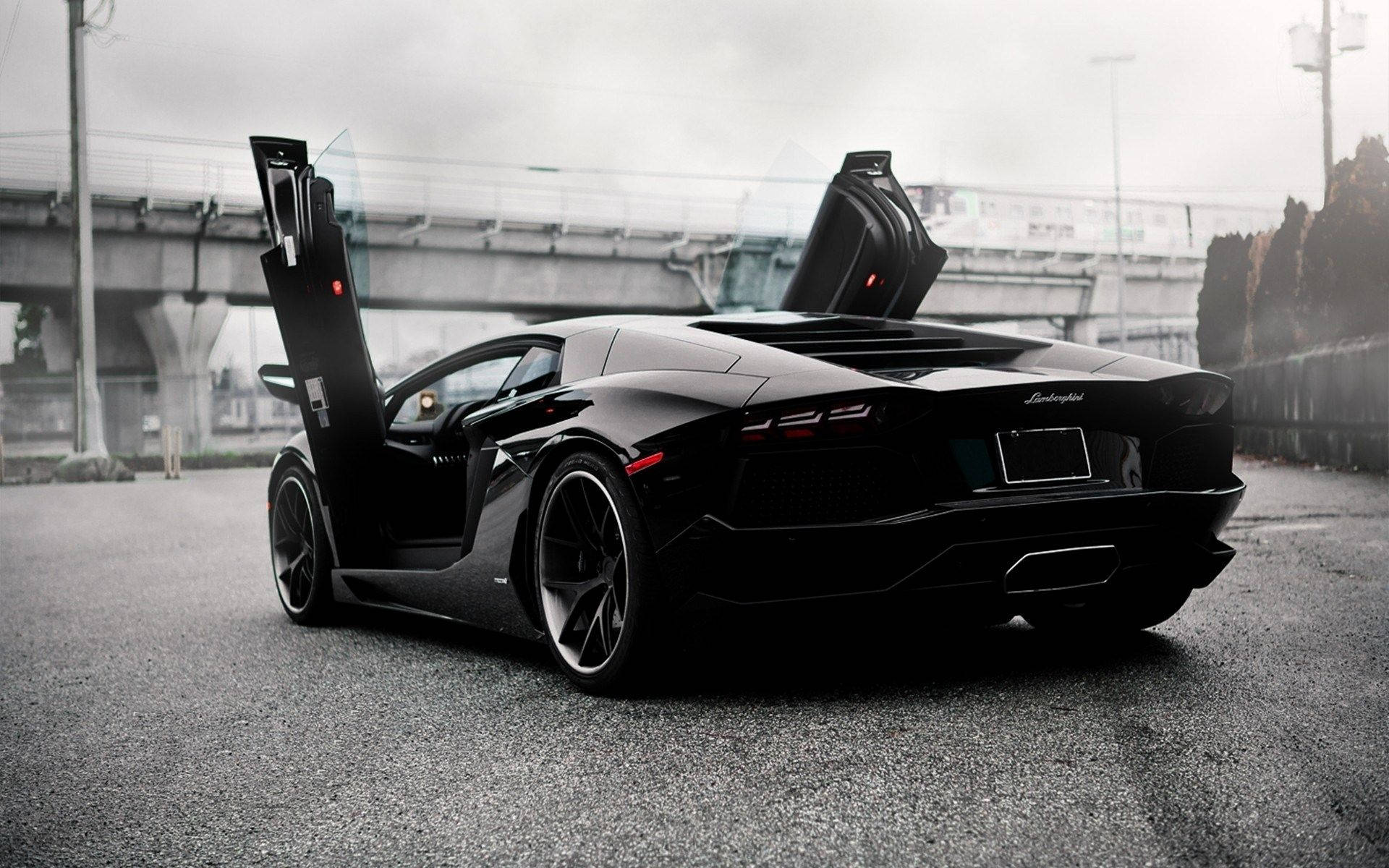 سيارة لامبورغيني أفينتادور LP700 الرياضية خلفية
