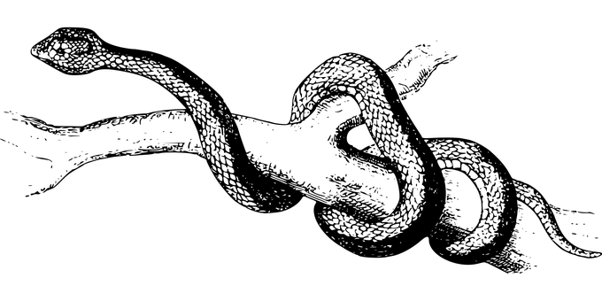 شاشة سوداء مؤقتة خلفية