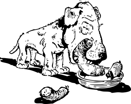 شاشة سوداء مؤقتة خلفية