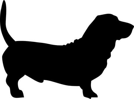 شاشة سوداء مؤقتة خلفية