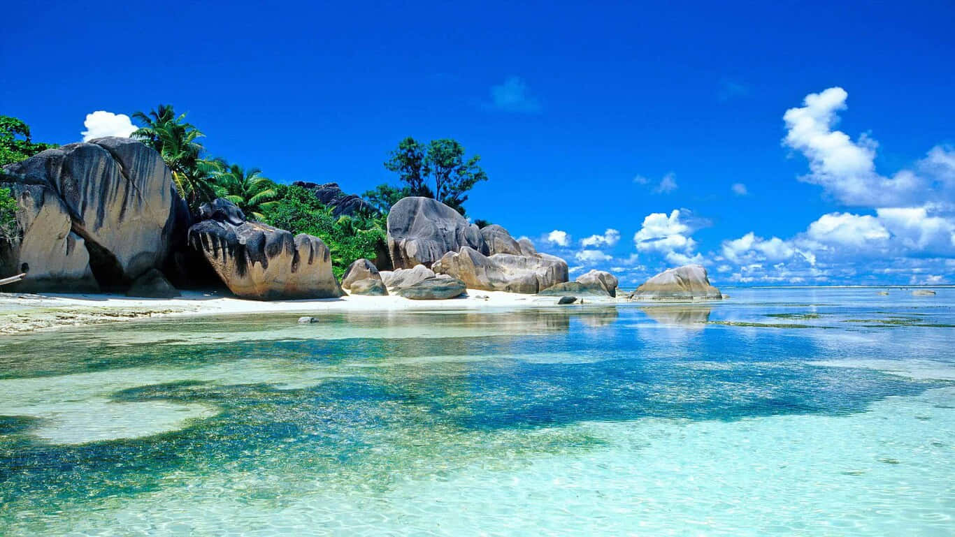 شاطئ عالي الدقة