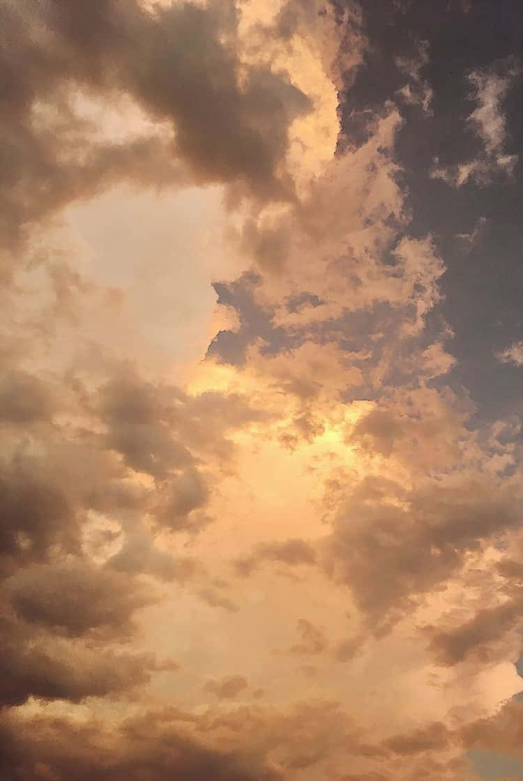 صور جمالية بنية فاتحة خلفية