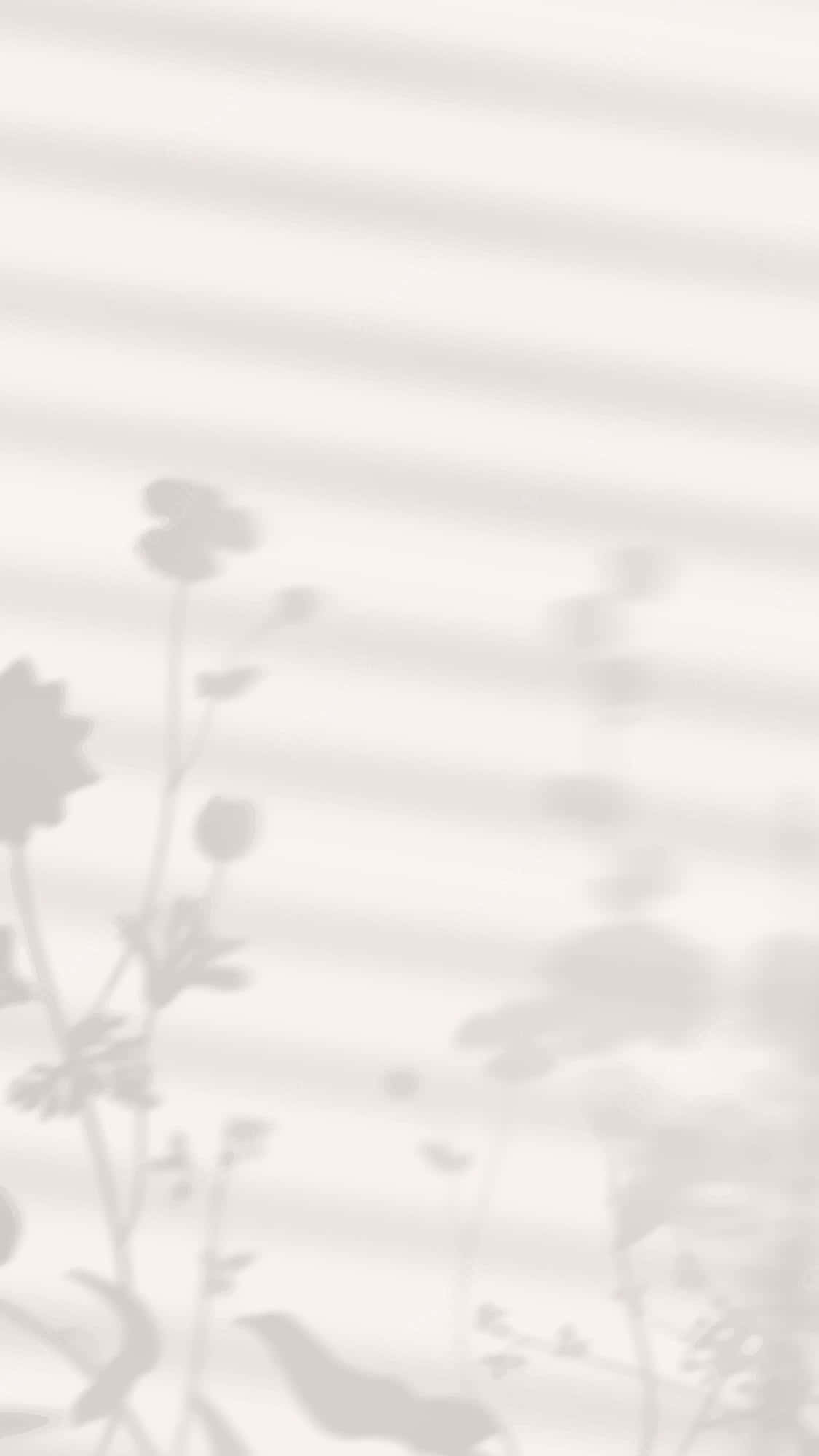 صور ظل نبات جمالية خلفية