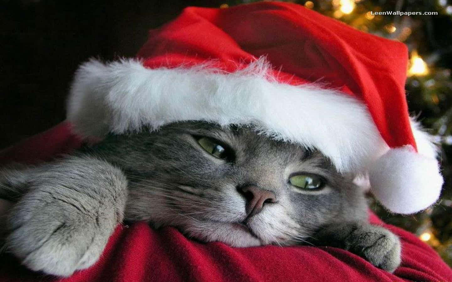 صور عيد الميلاد اللطيفة خلفية