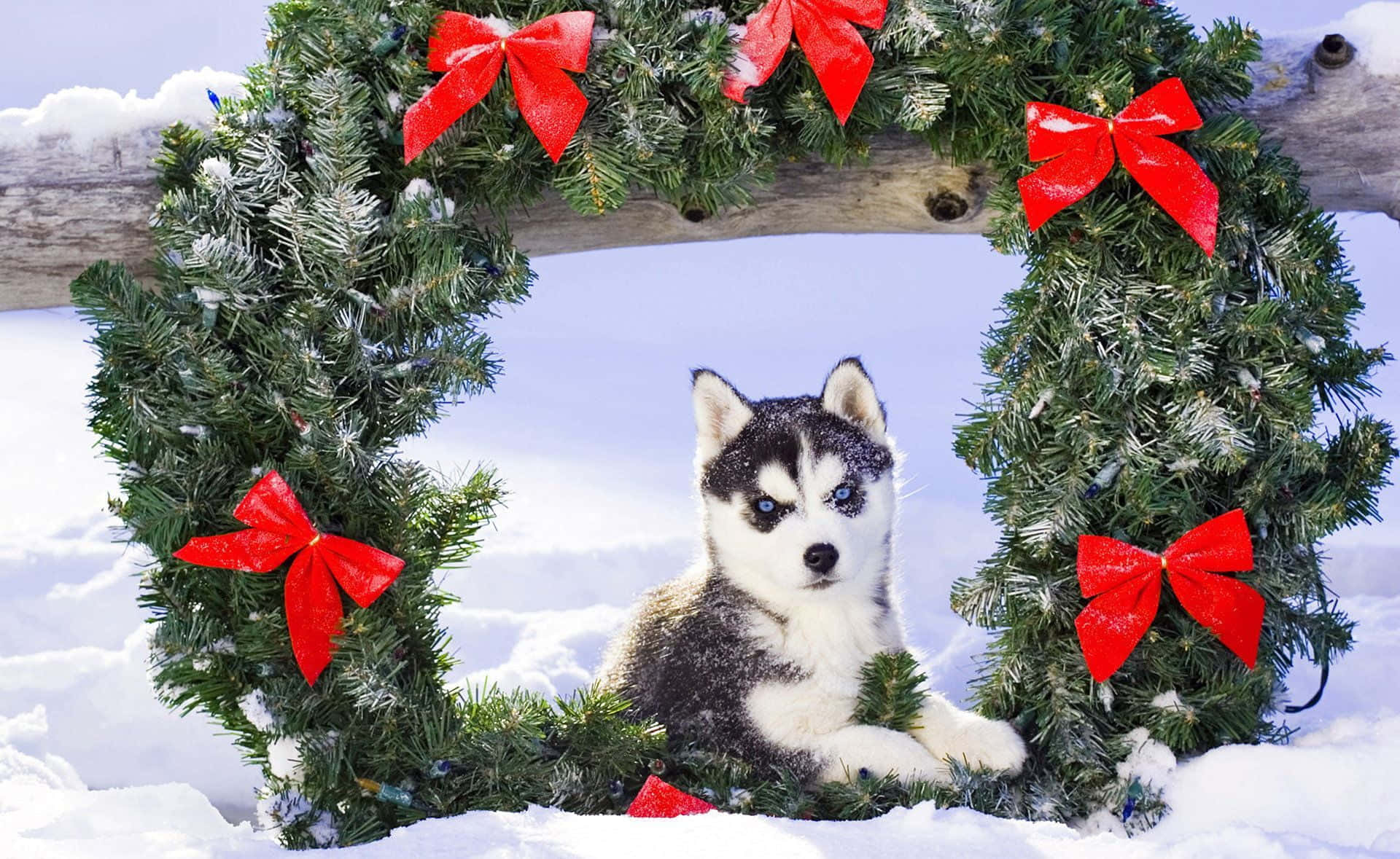صور عيد ميلاد ساحرة وجميلة خلفية