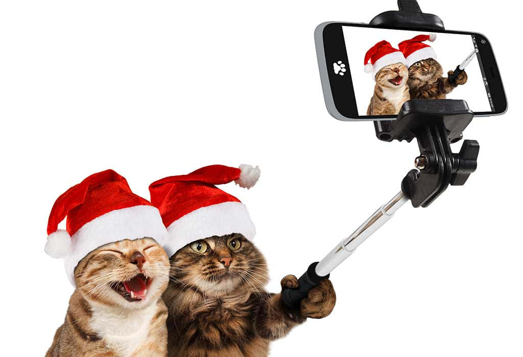 صور عيد ميلاد مضحكة خلفية