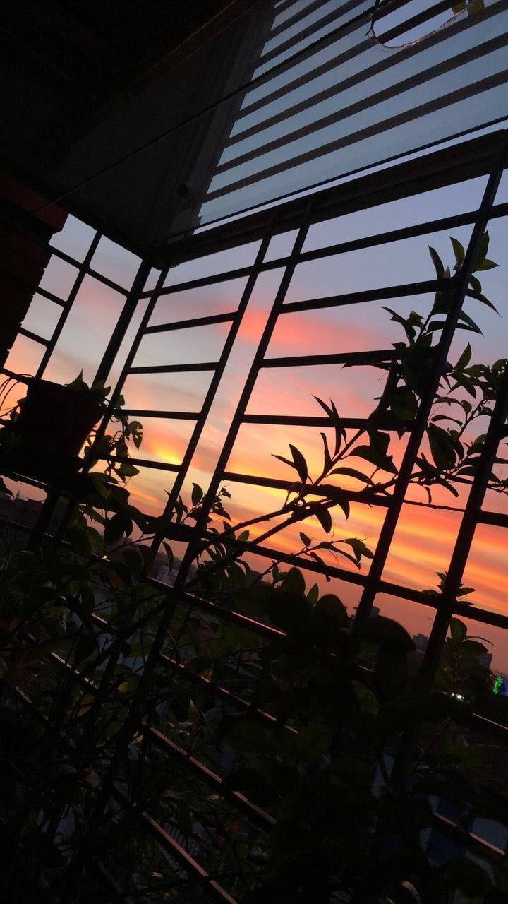 خلفية صورة ظلية جمالية لآيفون