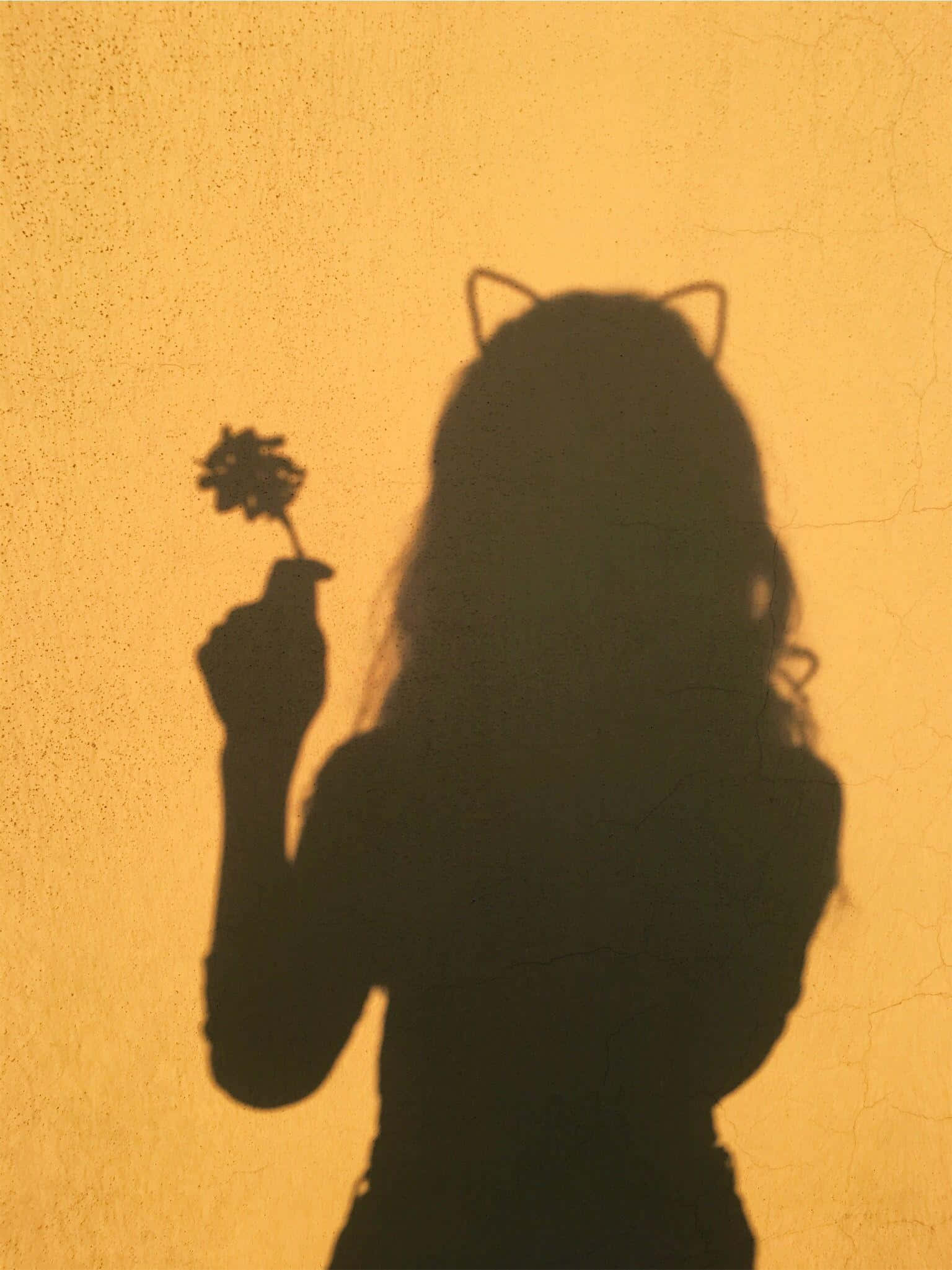 ظل جمالي أصفر لصورة شخصية خلفية