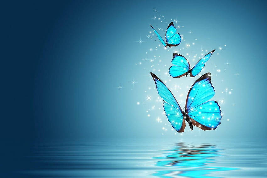 فراشات زرقاء شاشة كاملة سطح المكتب عالية الدقة