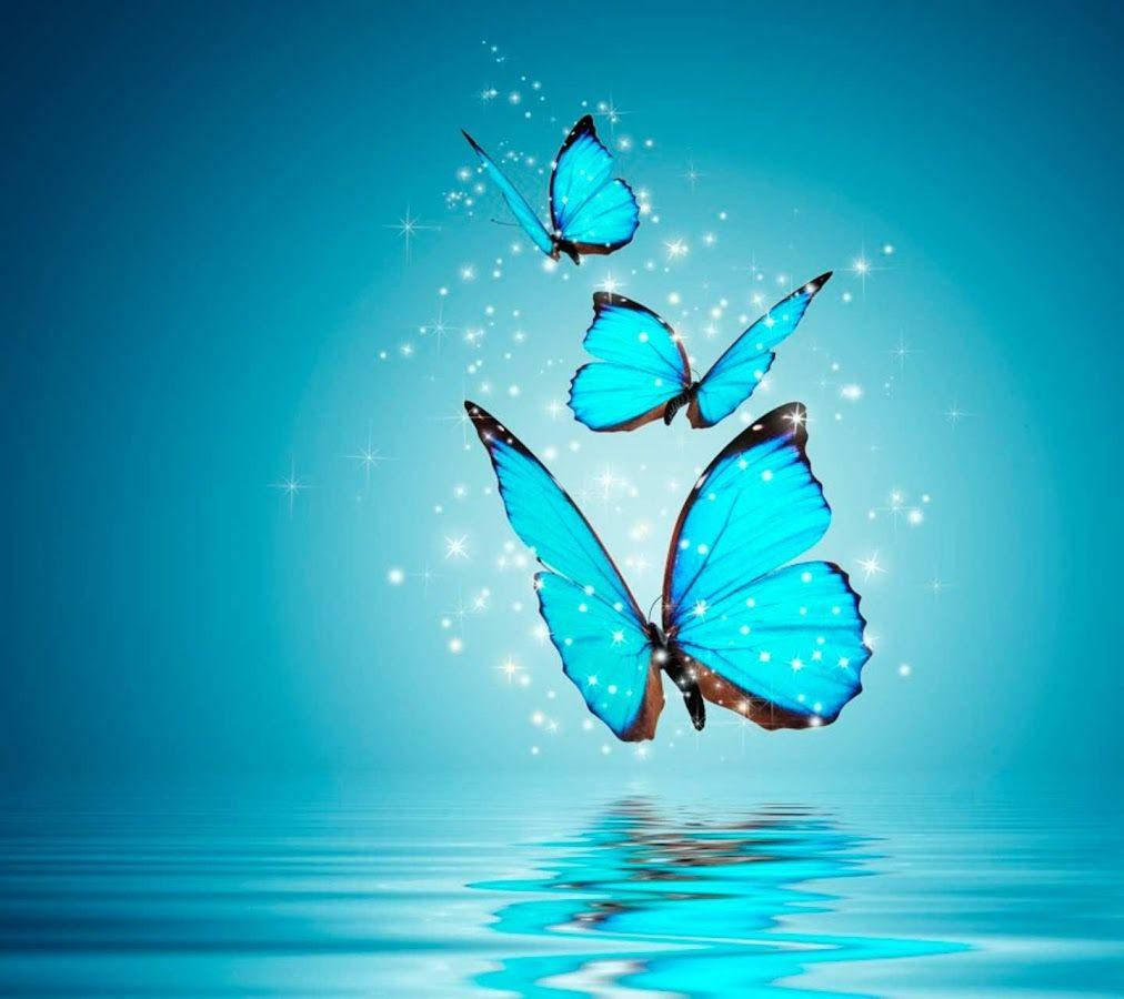 فراشات متلألئة لواتساب