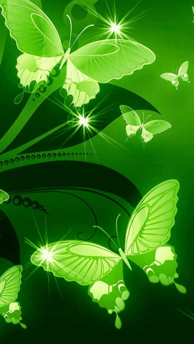 فراشة خضراء نبات أخضر جمالي خلفية